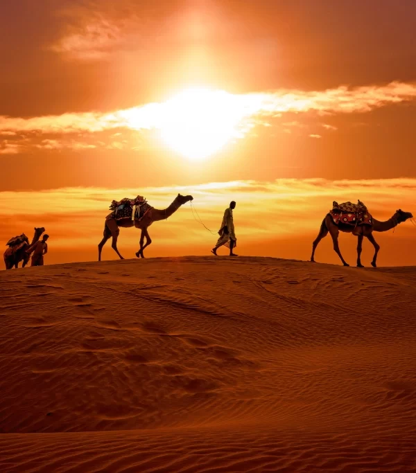 Desert Experience