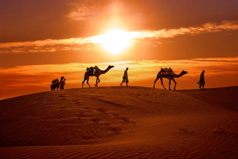 Desert Experience