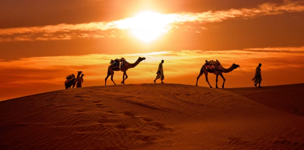 Desert Experience