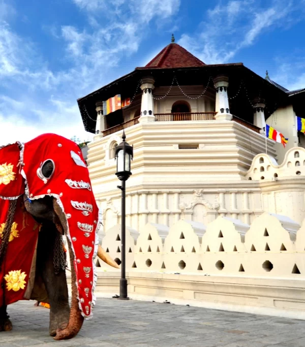 Kandy