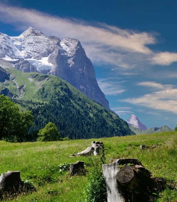 Mountain Views