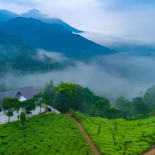 Munnar