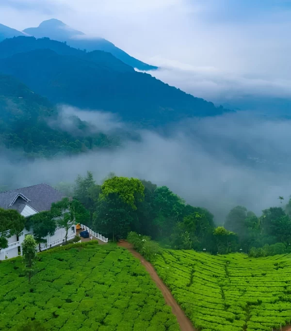 Munnar
