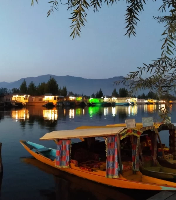 Shikara Ride