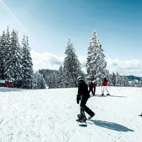 Snow Activities