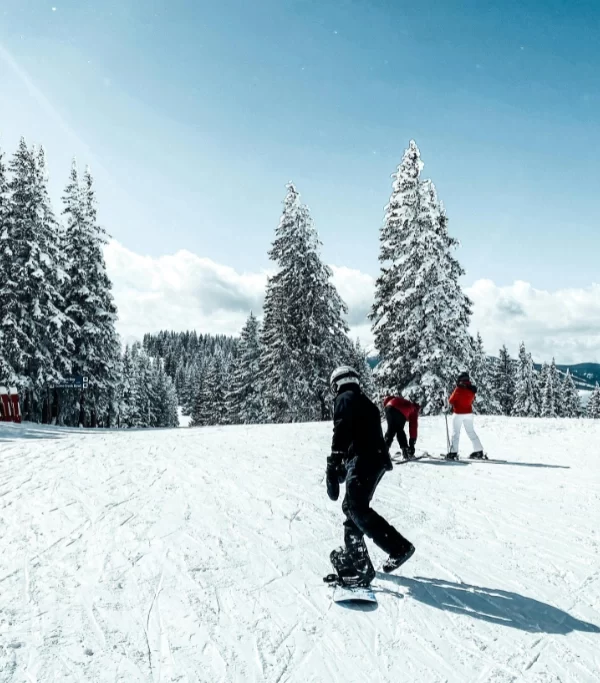 Snow Activities