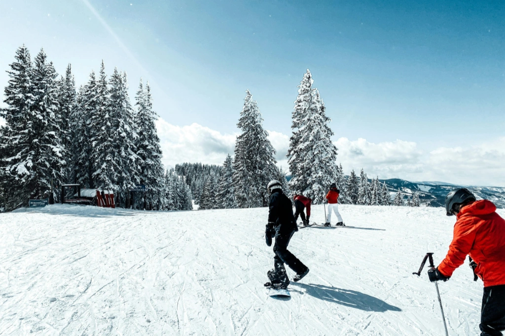 Snow Activities